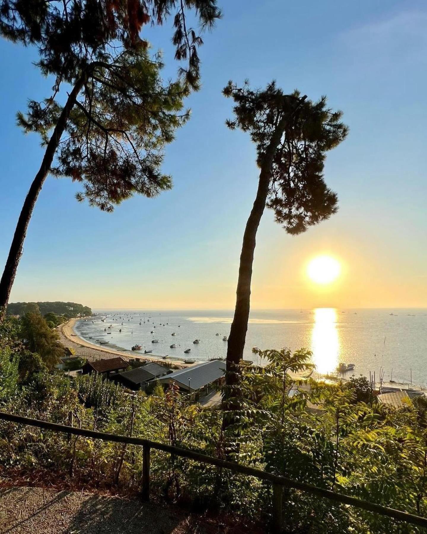 Cocon Entre Presqu'Ile Du Cap Ferret Et Plages Oceanes - Terrasse - 1 Velo Gratuit Ares Bagian luar foto