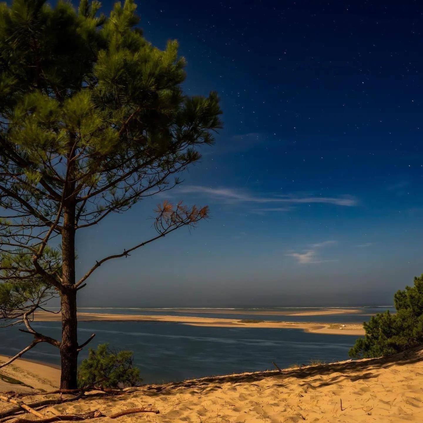 Cocon Entre Presqu'Ile Du Cap Ferret Et Plages Oceanes - Terrasse - 1 Velo Gratuit Ares Bagian luar foto