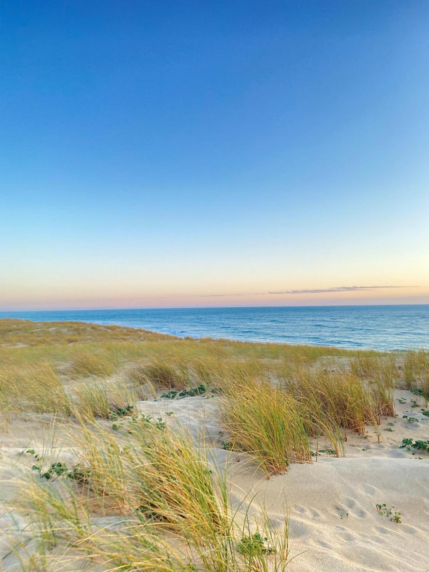 Cocon Entre Presqu'Ile Du Cap Ferret Et Plages Oceanes - Terrasse - 1 Velo Gratuit Ares Bagian luar foto